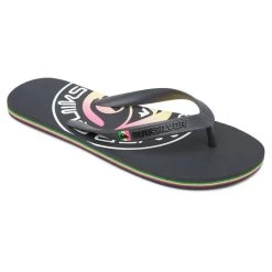 Quiksilver Molokai Pulse Flip Flops
